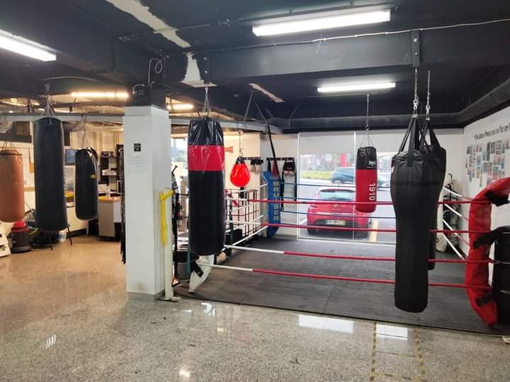 Lion-gate-academy — artes marciais-studio em Rosto do Cão (São Roque), Ponta Delgada — 2