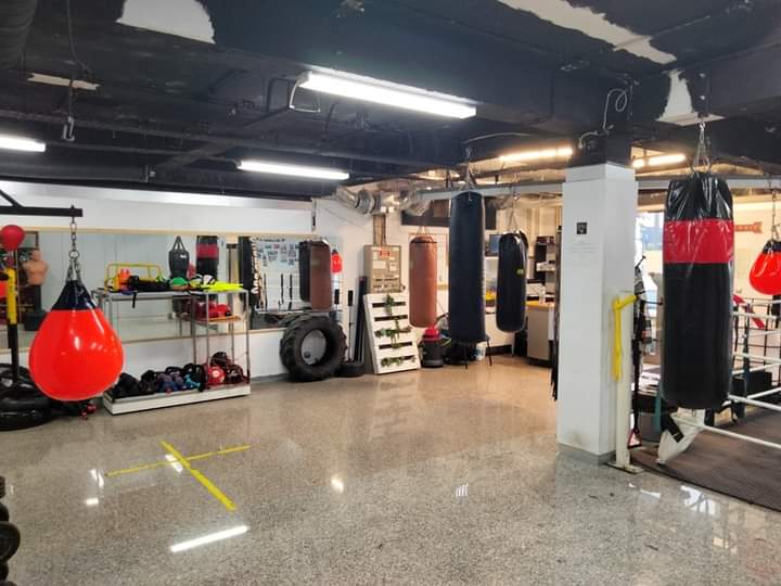 Lion-gate-academy — artes marciais-studio em Rosto do Cão (São Roque), Ponta Delgada — 3